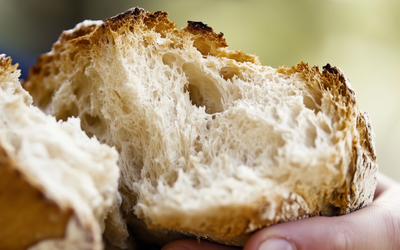 BIT technológia - čo je to?