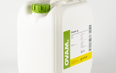 Ovam 25